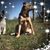 Mandy Presley's profile image