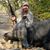 David Manzano's profile image