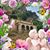 Girasol Daisy Dandylion's profile image