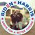 Rachel Gordon's profile image