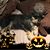 Karen Lenberg's profile image