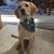 Bev Hannan Estep's profile image