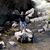 Kay Shabazian's profile image