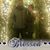 Dayle Broocks's profile image