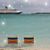 Susan Hafer's profile image