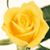 Mary G. Kiviaho's profile image