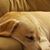 Bridget Garrity's profile image
