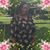Jennifer Locklin's profile image