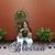Juanita Glasgow's profile image