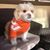 Bianca Amaya Romero's profile image