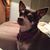 Denise Neci Hartong Kent's profile image