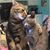 Cristy Delg's profile image