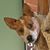 Craig Olson's profile image