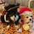 Kathleen Smith's profile image