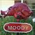 Randy Moody's profile image