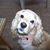 Lisa Popernik-Neilley's profile image