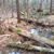 Donna Horne Parker's profile image