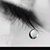 Claudita Carmona's profile image