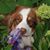 Jim Milligan's profile image