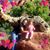 Jeanne Herschell Pittman Allen's profile image