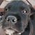 Peggy Spears's profile image