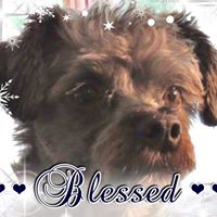 Delores Mathe's profile image