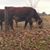 Joanne Cadwalader's profile image
