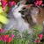 Cathy Olson's profile image