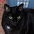 Michael Dahlinger's profile image