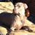 Calamityjane Meyer's profile image