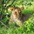 Julie Bratspis's profile image