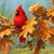Margaret Wilson's profile image