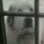 Marta Marsh-Freetage's profile image