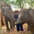 Bryan Leiter's profile image