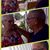 Jaime R. Ortega Sr.'s profile image