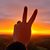 Sandi Wood Cook's profile image