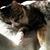 Susan Palmer Faryniarz's profile image
