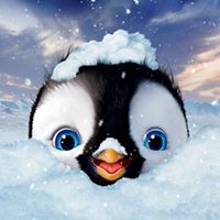 Yolanda Bonilla's profile image