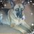 Gloria J. Bower's profile image