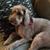 Helen Ann Kelly's profile image