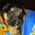Stephanie Renee King's profile image