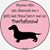 Terri L Gordon's profile image