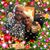 Sharon Wylie's profile image