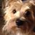 Pam Scrogum Esparza's profile image