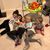 Carol Stinson Carullo's profile image