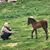 Bedirhan Ustun's profile image