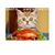 Susan Gearhart's profile image