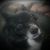 Katheryn Gaughan's profile image