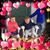 Cathy Arnold Santee's profile image