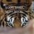 Penny Guidry Gann's profile image